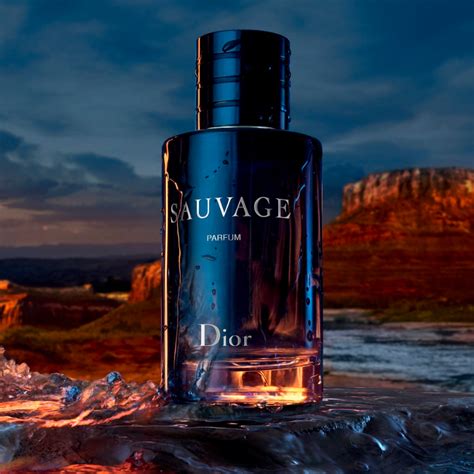 dior sauvage brocard|sauvage fragrance.